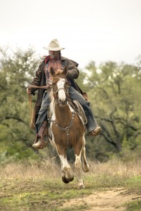 Cowboy riding horse
