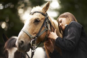 Woman caring for horse.